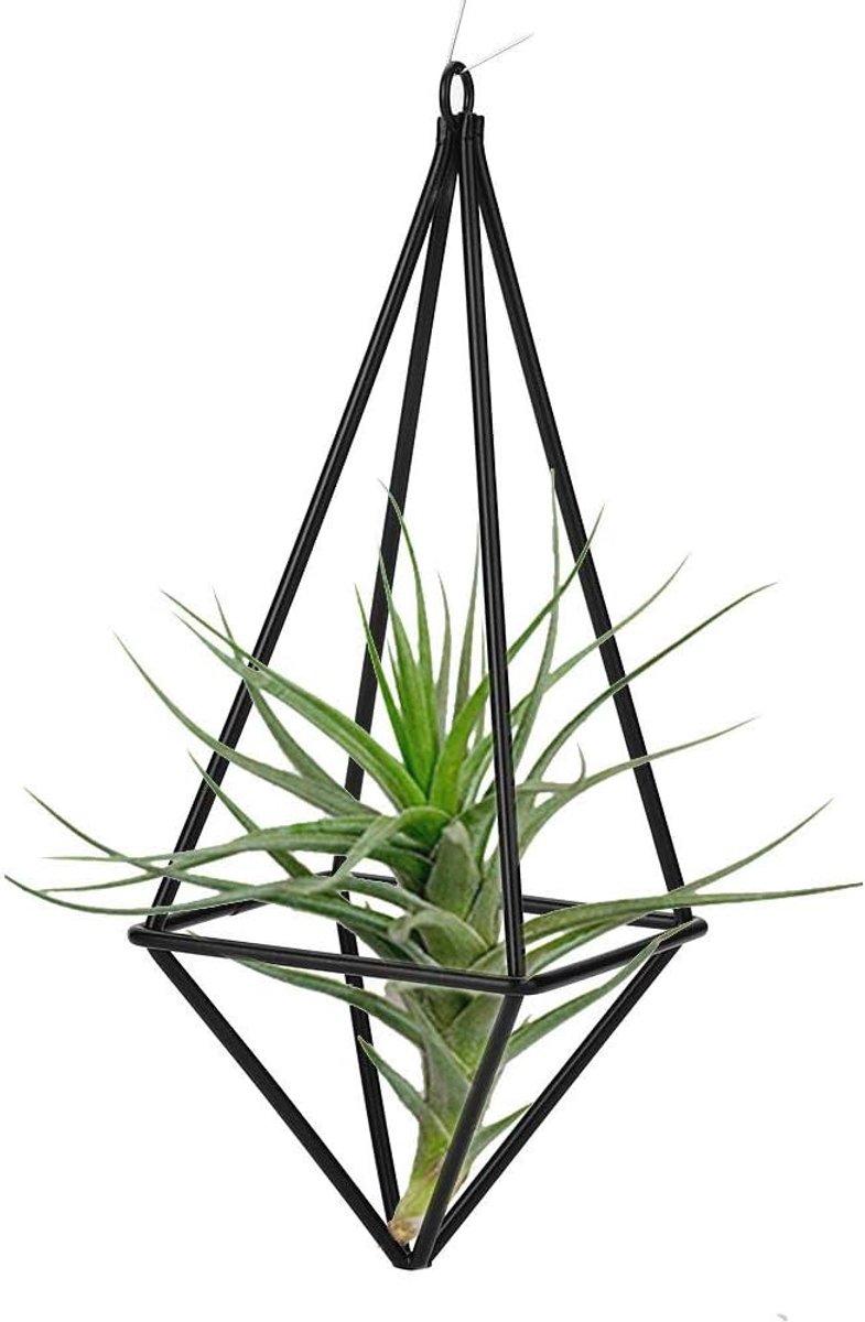 Hanger Air Plant Display Stand Opknoping Metalen Tillandsia Air Plant Rack voor Home Office Wedding Decor(1#)