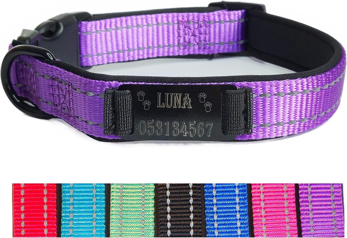 Halsband halsband naam gravure gepersonaliseerd huisdier hond kat nylon bijzonder stabiel (L, paars)