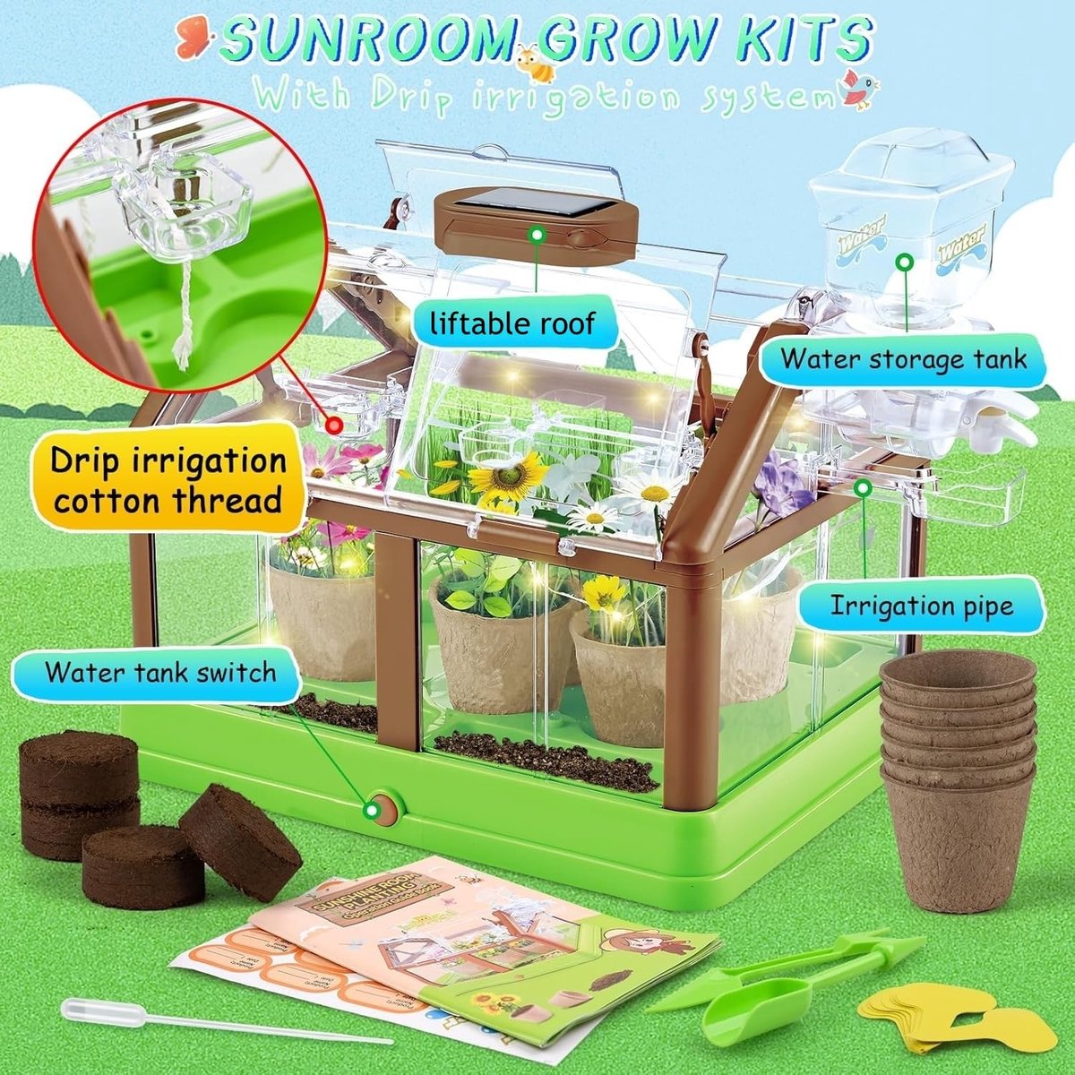 SnelShoppen - Plantenset voor Kleuterscholen - Educatieve Planten - Leerzaam Tuinieren voor Kinderen - 5 Verschillende Soorten - Duurzaam en Veilig Ma