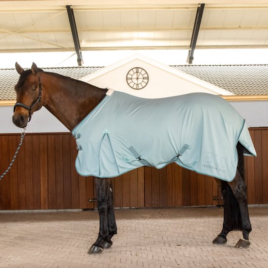 Bruin paard met een lichtblauwe zomerdeken met turkooizen bies en bruine en turkooizen accenten. Deken is van Harry's Horse.