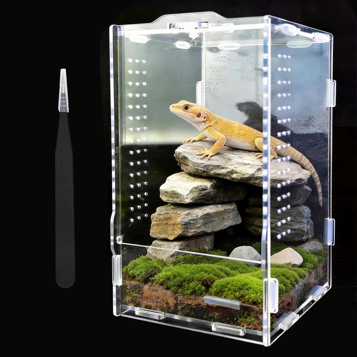 SnelShoppen - 360° Terrarium voor Slakken en Reptielen in Acryl, 20x12x12 cm Transparant Vivarium met Tweezers en Thermometer - Ademend Dierencase voo