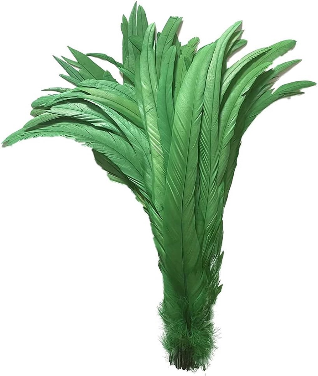 20 stuks 14-16 inch natuurlijke haan coqueTail veren voor podiumprestaties en kostuumdecoratie, Halloween carnaval (donkergroen)