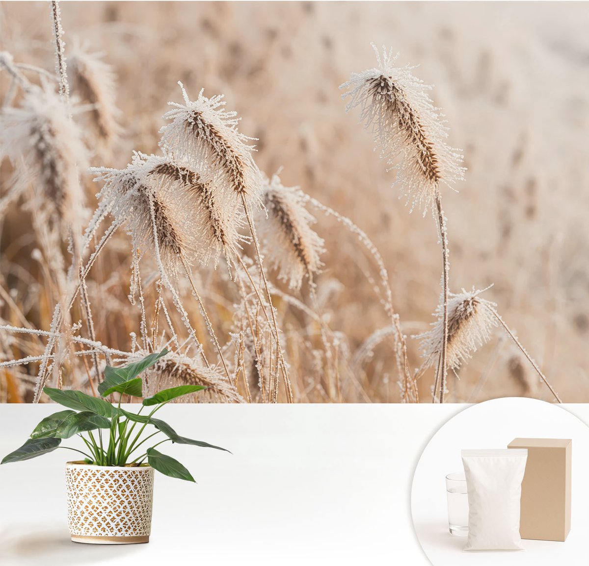 Wallfluent Fotobehang - Wit Vliesbehang - 152x104 cm - Winterlandschap Fotobehang Vlies - Hal behang Bloemen En Planten - Muurschildering - Woonkamer behang