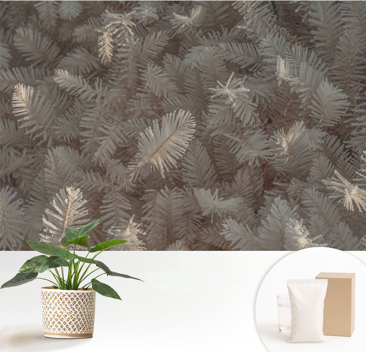 Wallfluent Fotobehang - Wit Vliesbehang - 152x104 cm - Bevroren Takjes Fotobehang Vlies - Hal behang Bloemen En Planten - Muurschildering - Woonkamer behang