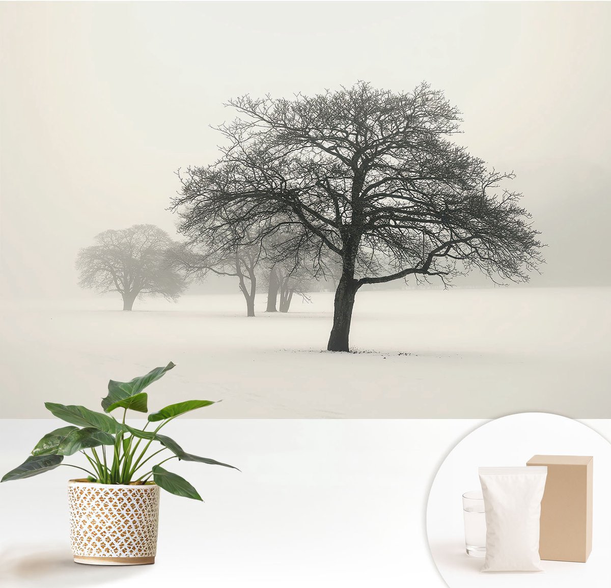 Wallfluent Fotobehang - Wit Vliesbehang - 152x104 cm - Winterbomen Fotobehang Vlies - Woonkamer behang Landschappen - Muurschildering - Woonkamer behang