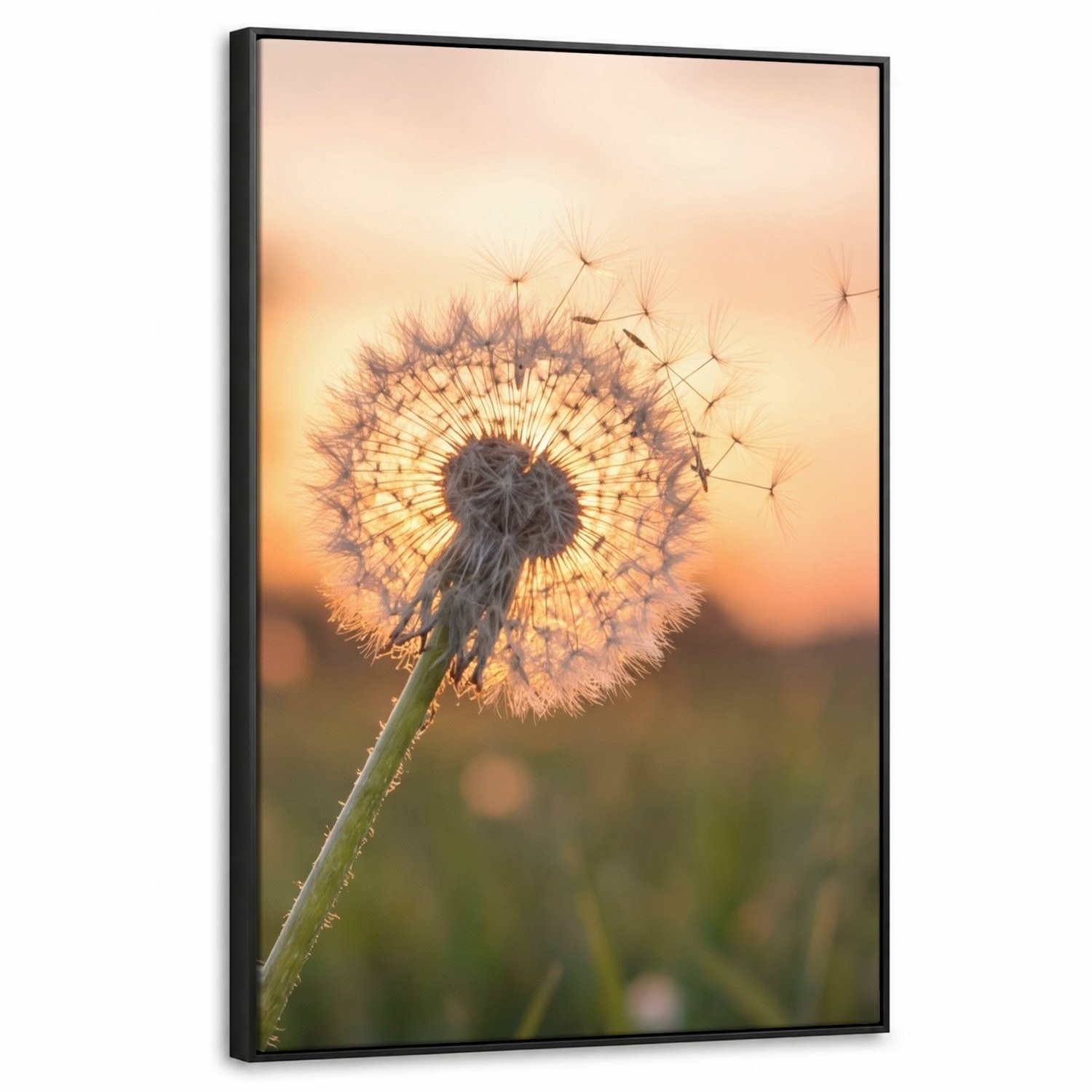 Canvas Schilderij met Baklijst 60x90cm - Paardenbloem - Zonsondergang - Veld - Muurdecoratie woonkamer - Slaapkamer decoratie - Kamer accessoires - Schilderijen op canvas met lijst