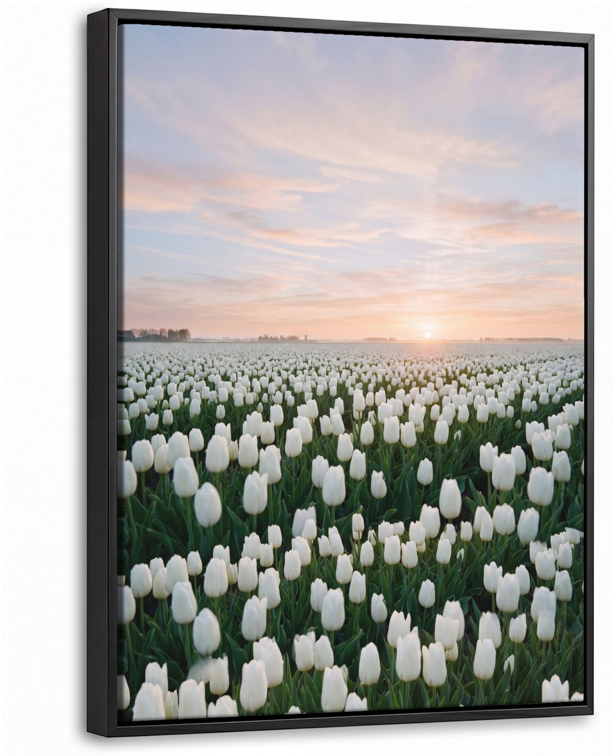 Canvas Schilderij met Baklijst 30x40cm - Tulpen - Landschap - Wit - Muurdecoratie woonkamer - Slaapkamer decoratie - Kamer accessoires - Schilderijen op canvas met lijst