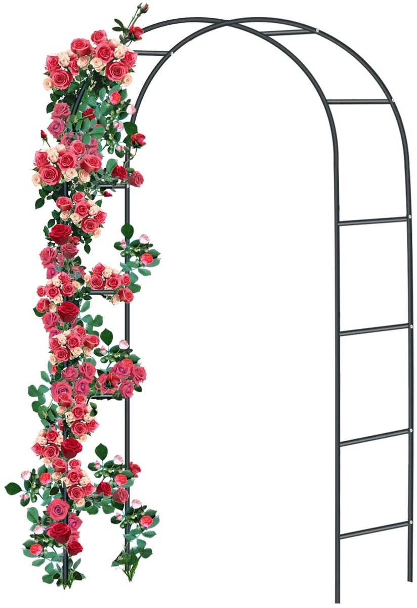 Elzusha - Rozenboog van Staal voor Klimplanten, 240 x 140 x 38 cm