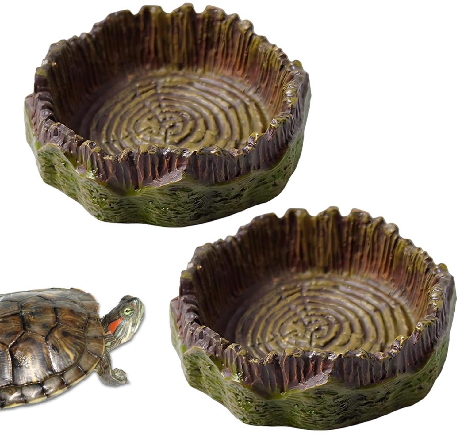 Terrarium Accessoires voor Reptielen - Waterbakken en Voeding