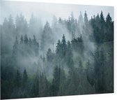 Misty Forest - Foto op Plexiglas - 90 x 60 cm