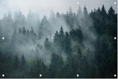 Misty Forest - Foto op Tuinposter - 225 x 150 cm