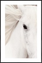 JUNIQE - Poster in kunststof lijst White Horse -20x30 /Grijs & Wit