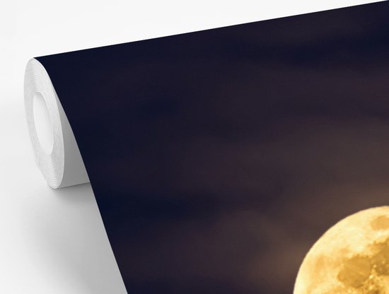 Pleine lune dans le ciel nocturne fond d' fotobehang