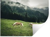 Muurstickers - Sticker Folie - Drie haflinger paarden - 80x60 cm - Plakfolie - Muurstickers Kinderkamer - Zelfklevend Behang - Zelfklevend behangpapier - Stickerfolie
