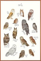 JUNIQE - Poster met kunststof lijst Uilen illustratie -40x60 /Bruin &