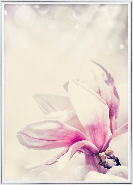 Poster Met Metaal Zilveren Lijst - Bloemen Magnolia Poster