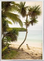 Poster Met Metaal Zilveren Lijst - Eiland van Pijnbomen Poster