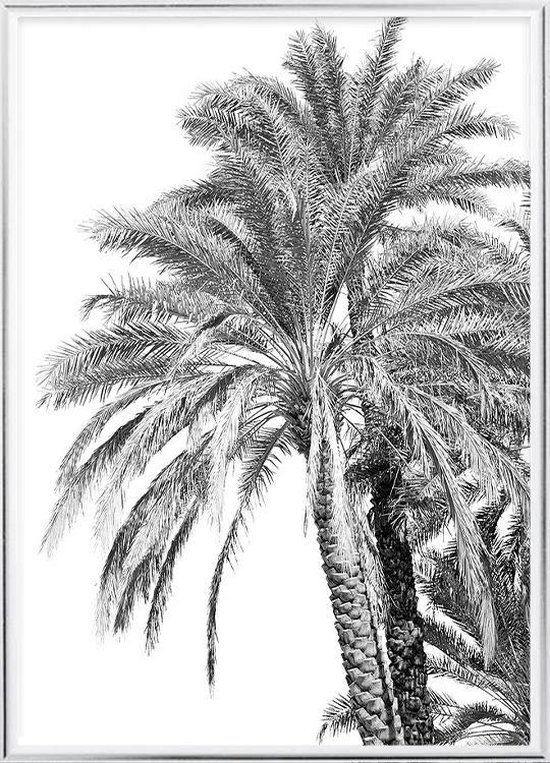 Poster Met Metaal Zilveren Lijst - Oman de Palm Poster