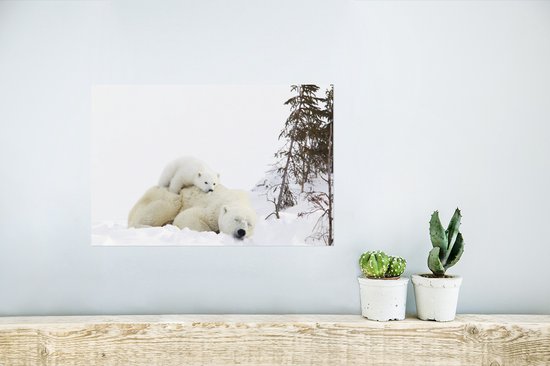 Ours polaire dort dans la neige avec des petits sur le dos 30x20 cm - petit