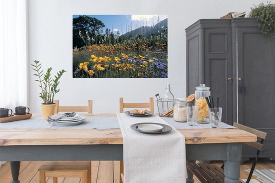 Champ de fleurs isolé avec papier affiche fleurs colorées 120x80 cm - Tirage photo sur Poster (décoration murale salon / chambre) / Poster Fleurs