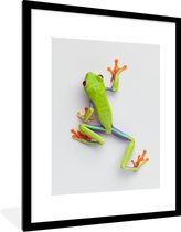 Photo en cadre - Grenouille verte devant fond blanc Cadre photo noir avec passe-partout blanc 60x80 60x80 cm - Affiche sous cadre (Décoration murale salon / chambre)