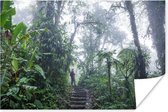 Poster Een trappen-pad door het mistige tropische regenwoud van Costa Rica - 30x20 cm