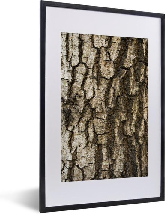 Fotolijst incl. Poster - Een close-up van de schors van een boomstam -  40x60 cm -... | bol.com