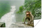 Poster Schreeuwende aap voor waterval - 90x60 cm