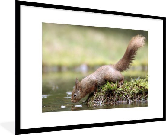 Fotolijst incl. Poster - Eekhoorn - Water - Bos - 120x80 cm - Posterlijst