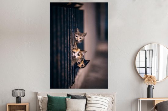 Les Chats regardent curieusement au coin de la rue 120x180 cm XXL / Groot format ! - Tirage photo sur Poster (décoration murale salon / chambre)