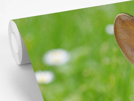 Papier Peint - Papier Papier peint photo Lapin - Fleurs - Herbe - Largeur 375 cm x Hauteur 300 cm