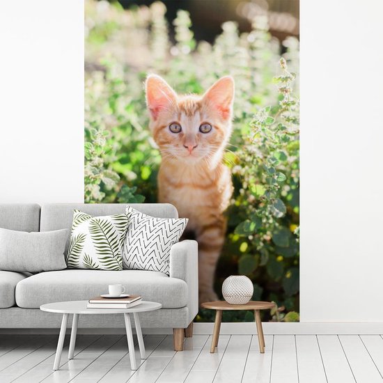 Papier peint photo vinyle - Un portrait d'un chaton dans les buissons largeur 190 cm x hauteur 280 cm - Tirage photo sur papier peint (disponible en 7 tailles)