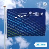 Vlag Dinkelland 200x300cm