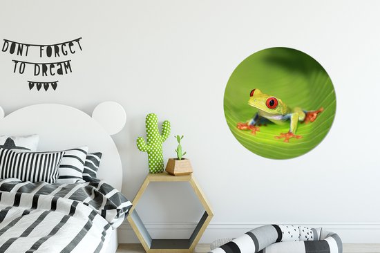 Grenouille ara aux yeux rouges sur une feuille au Costa Rica Sticker mural cercle mural 50x50 cm / cercle papier peint / cercle mural / cercle vivant - autocollant & coupe ronde
