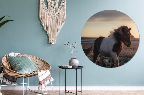 Trot cheval islandais coloré pendant le coucher du soleil Sticker mural cercle mural ⌀ 120 cm / cercle papier peint / cercle mural / cercle vivant - auto-adhésif et coupe ronde