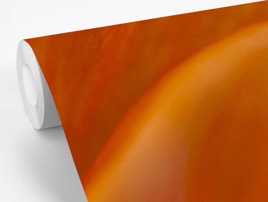 Image macro du pistil d'un coquelicot 200x300 cm