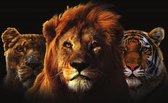 160 x 110 cm - Glasschilderij - leeuw en tijger - Dieren