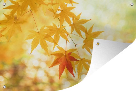 Tuindecoratie Japanse esdoorn bladeren tijdens de herfst - 60x40 cm - Tuinposter - Tuindoek - Buitenposter