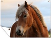 Muurdecoratie buiten Haflinger paard in het weiland - 160x120 cm - Tuindoek - Buitenposter