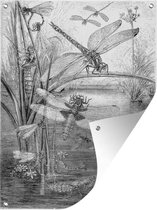 Tuinschilderij Een zwart-wit illustratie van enkele libellen - 60x80 cm - Tuinposter - Tuindoek - Buitenposter