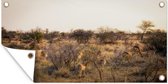 Paysage du parc Kruger en Afrique Affiche de jardin 80x40 cm - petit - Toile de jardin / Toile d'extérieur / Peintures pour l'extérieur (décoration de jardin)