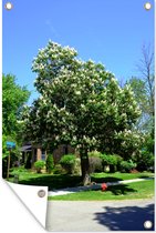 Tuindecoratie Kastanjeboom tijdens de lente in volle bloei - 40x60 cm - Tuinposter - Tuindoek