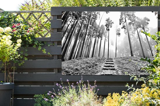 Affiche de jardin photo Zwart et blanc d'un escalier entre les arbres dans la brume 120x80 cm - Toile de jardin / Toile d'extérieur / Peintures d'extérieur (décoration de jardin)