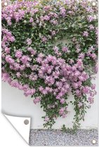 Tuinposter - Tuindoek - Tuinposters buiten - Klimplant met roze bloemen - 80x120 cm - Tuin