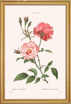 JUNIQE - Poster met houten lijst Rosier - Toujours Fleuri -20x30