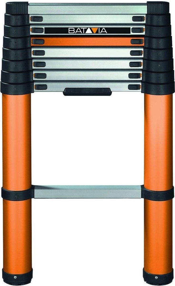 Batavia giraffe 2024 air ladder