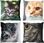 Coussin d'extérieur chat S cul.