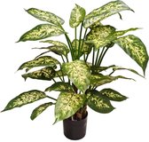 Kunstplant Dieffenbachia 68 cm