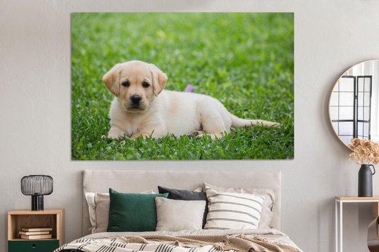 Puppy Labrador en toile d'herbe 2cm 180x120 cm - Tirage photo sur toile (Décoration murale salon / chambre) / Animaux domestiques Peintures sur toile XXL / Groot format!