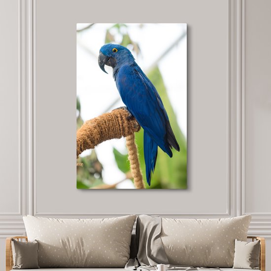 Ara hyacinthe sur toile bâton 2cm 120x180 cm - Tirage photo sur toile (Décoration murale salon / chambre) XXL / Groot format!